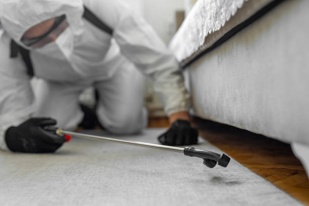 Professional Termite Control technician working in Lipscomb, AL