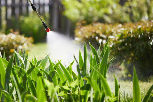 24/7 Emergency Termite Control experts in Lipscomb, AL